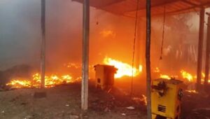 हेरवाड येथे रोपवाटिकेला शॉर्टसर्किटने लागली आग : ३ लाखांचे नुकसान